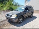 Mazda Tribute S 4F2CZ96176KM24893 снимка