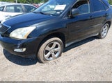 Lexus Rx 330 JTJGA31U760065156 снимка