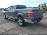 Ford F-150 Xlt 1FTFW1ET5DFC62942 fotografie