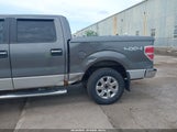 Ford F-150 Xlt 1FTFW1ET5DFC62942 fotografie