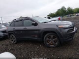 Jeep Cherokee 75Th Anniversary 1C4PJMCB8GW309965 fotografie