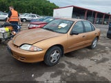 Chevrolet Cavalier 1G1JC524827454329 fotografie