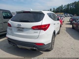 Hyundai Santa Fe Sport 2.4L 5XYZU3LB8EG187659 снимка