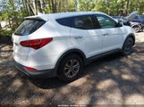 Hyundai Santa Fe Sport 2.4L 5XYZT3LB7FG292181 снимка