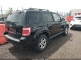 Ford Escape Hybrid 1FMCU59H18KA82551 снимка