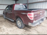Ford F-150 Fx4/Harley-Davidson/King Ranch/Lariat/Platinum/Xl/Xlt 1FTFW1EV8AFD66547 fotografie