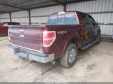 Ford F-150 Fx4/Harley-Davidson/King Ranch/Lariat/Platinum/Xl/Xlt 1FTFW1EV8AFD66547 fotografie