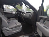 Ford F-150 Xlt 1FTFX1EF2BFD24608 fotografie