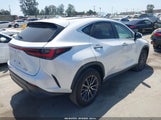 Lexus Nx 250 Premium 2T2GDCAZ4RC012524 снимка