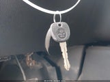 Miniaturka zdjęcia 11