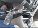 Miniaturka zdjęcia 11