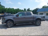 Ford F-150 Xlt 1FTFW1EF9BFB82518 fotografie