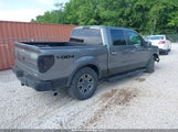 Ford F-150 Xlt 1FTFW1EF9BFB82518 fotografie
