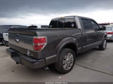 Ford F-150 Fx4/Harley-Davidson/King Ranch/Lariat/Platinum/Xl/Xlt 1FTFW1EV8AFA40313 снимка