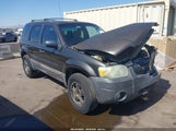 Ford Escape Xlt/Xlt Sport 1FMCU03117KA85690 fotografie