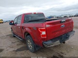 Ford F-150 Xlt 1FTEW1E59KFB07322 снимка
