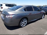 Nissan Maxima 3.5 S/3.5 Sv 1N4AA5AP7EC457779 fotografie
