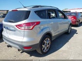 Miniaturka zdjęcia 4