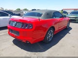 Ford Mustang V6 Premium 1ZVBP8EM3E5243016 снимка