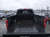 Ford F-150 Xlt 1FTFW1E87NKD33594 fotografie