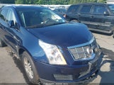 Cadillac Srx Luxury Collection 3GYFNDEYXAS614415 fotografie