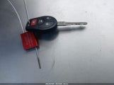 Miniaturka zdjęcia 11