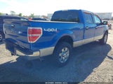 Ford F-150 Fx4/King Ranch/Lariat/Platinum/Xl/Xlt 1FTPW14V89FA07149 fotografie