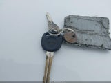 Miniaturka zdjęcia 11