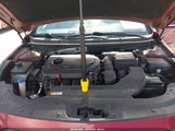 Hyundai Sonata Sport 5NPE34AF5FH098090 снимка