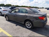 Toyota Corolla Le 1NXBU40E29Z053185 снимка