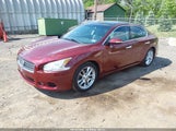 Nissan Maxima 3.5 Sv 1N4AA5AP4BC812337 снимка