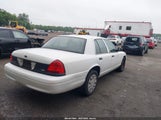 Ford Crown Victoria Police Interceptor 2FABP7BVXBX124423 photo
