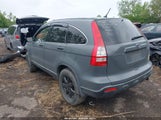 Honda Cr-V Ex JHLRE48517C087452 снимка