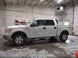 Ford F-150 Xlt 1FTFW1EF5EFD12573 снимка