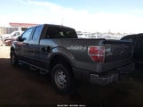 Ford F-150 Xl 1FTFX1EF1DKE41316 снимка