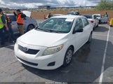 Toyota Corolla JTDBL40EX99077065 fotografie
