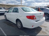 Toyota Corolla JTDBL40EX99077065 fotografie