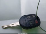 Miniaturka zdjęcia 11
