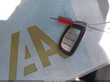 Miniaturka zdjęcia 11