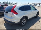 Honda Cr-V Lx 5J6RM3H36EL037033 photo