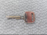 Miniaturka zdjęcia 11