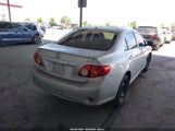 Toyota Corolla Le 1NXBU4EE6AZ333009 снимка