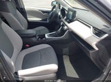 Toyota Rav4 Xle 2T3W1RFV7MW118594 photo