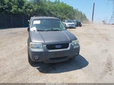Ford Escape Xlt 1FMYU93165KA52093 снимка