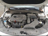 Miniaturka zdjęcia 10