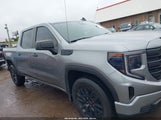 GMC Sierra  2Wd Short Box Pro 1GTPHAEK1PZ240820 fotografie