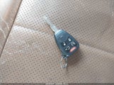 Miniaturka zdjęcia 11