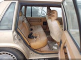 Volvo 760 YV1GA874XK0064076 снимка