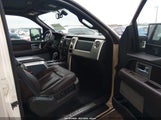 Ford F-150 King Ranch/Lariat/Platinum/Xl/Xlt 1FTPW12V69FA36300 photo