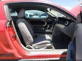 Ford Mustang V6/V6 Premium 1ZVHT80N195110881 photo